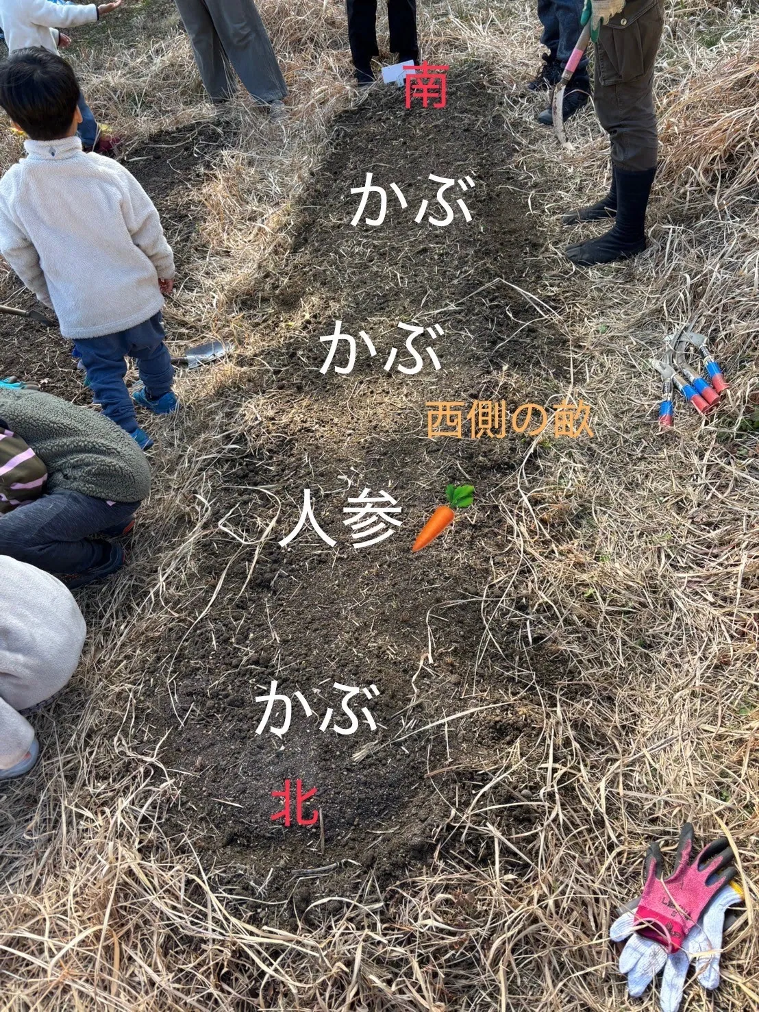 こども農園 活動記録 2025の写真