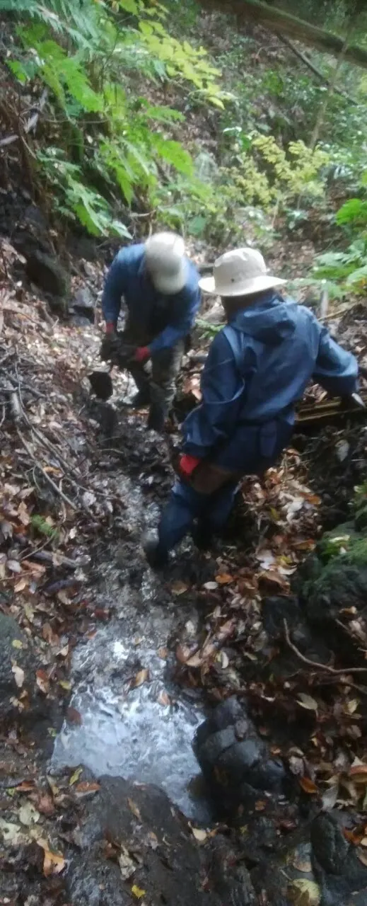 田沢の整備の写真