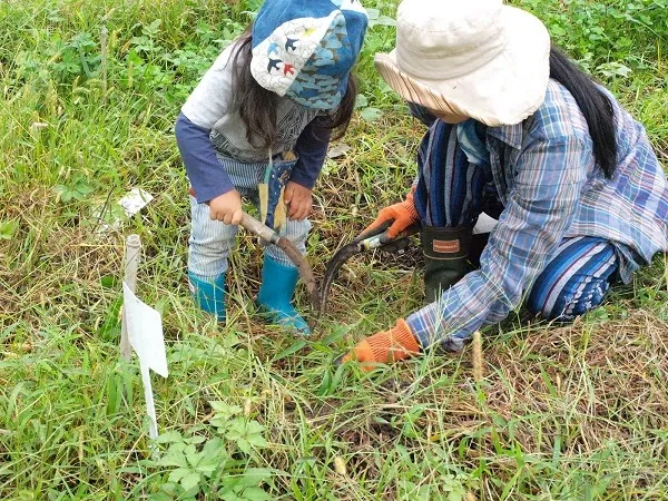 こども農園 活動記録 2020の写真