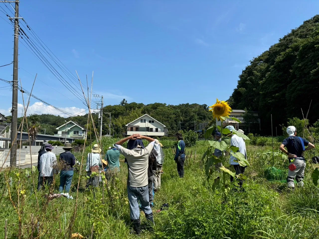 二宮農園 活動記録 2024の写真