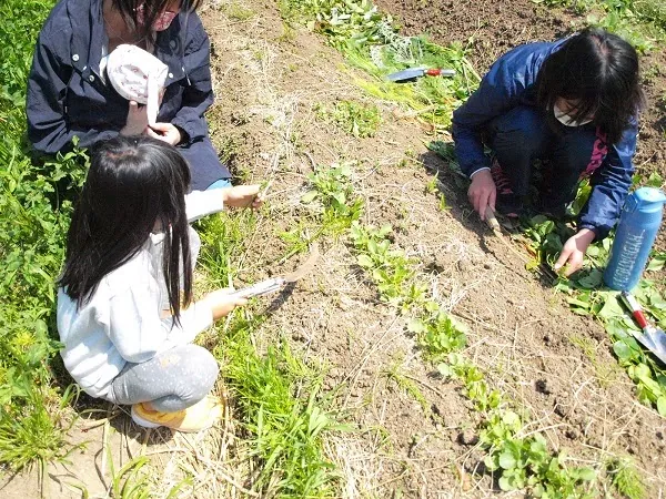 こども農園 活動記録 2020の写真