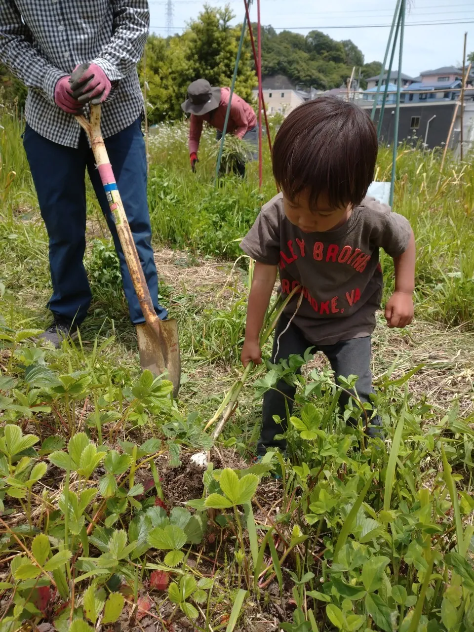 こども農園 活動記録 2023の写真
