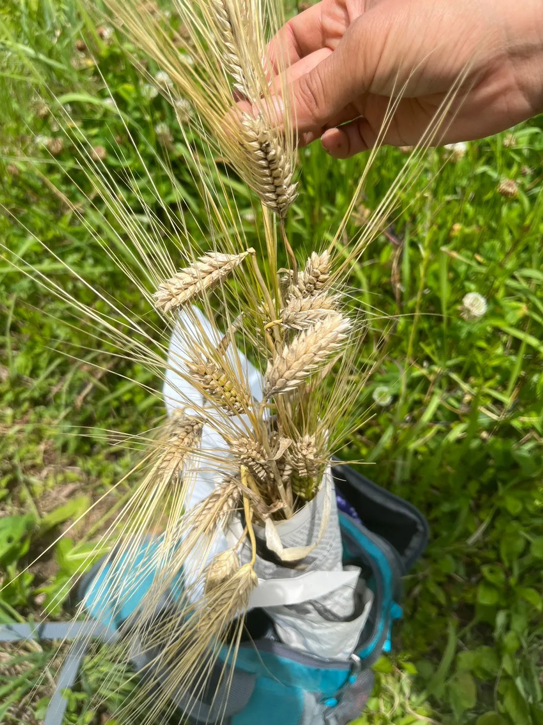 こども農園 活動記録 2023の写真