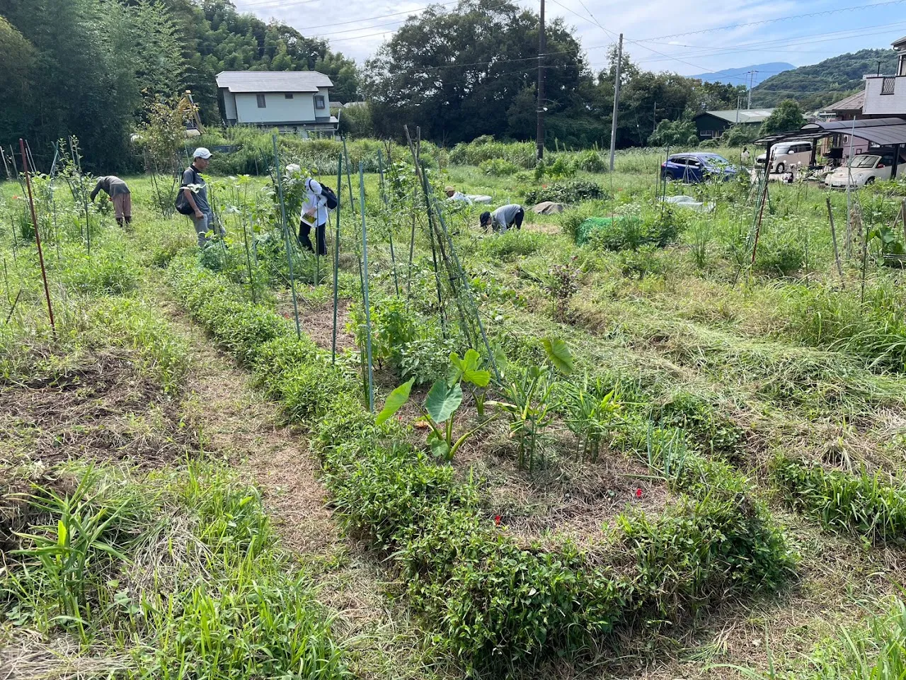 二宮農園 活動記録 2023の写真
