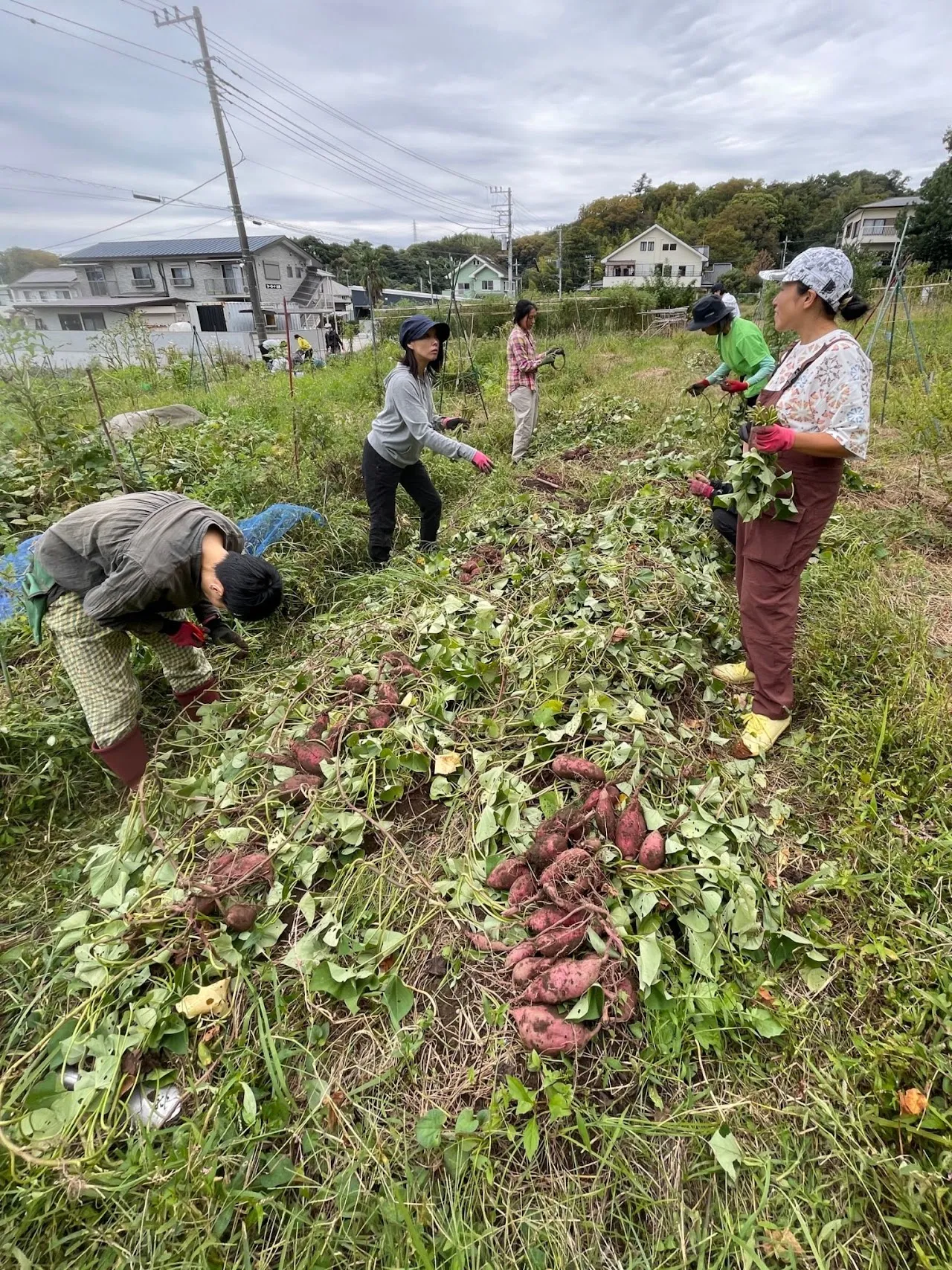 二宮農園 活動記録 2023の写真