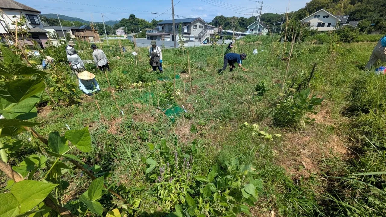 二宮農園 活動記録 2026の写真