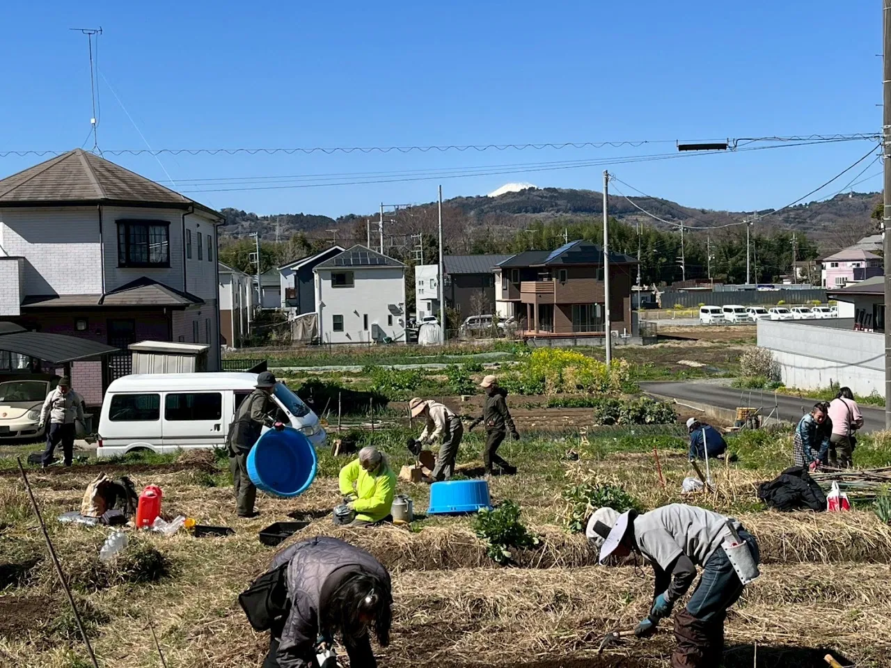二宮農園 活動記録 2026の写真