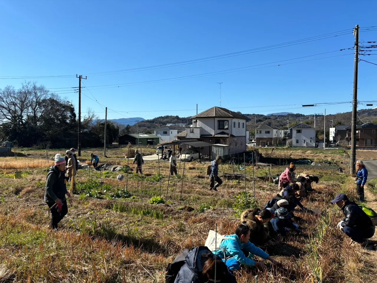 二宮農園 活動記録 2024の写真