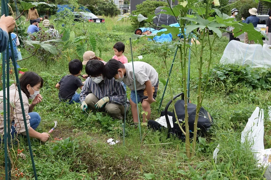 こども農園 活動記録 2021の写真