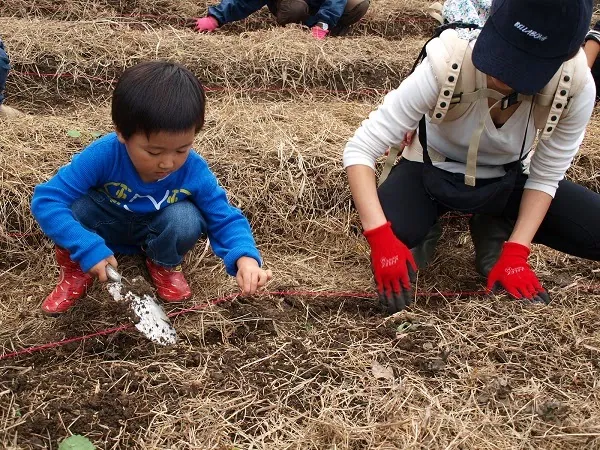 こども農園 活動記録 2019の写真