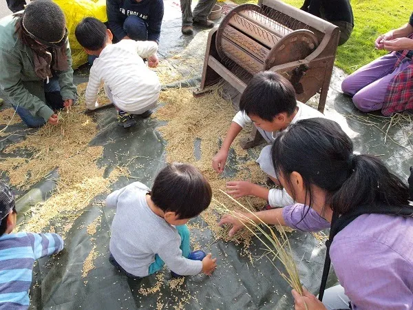 二宮農園 活動記録 2019の写真