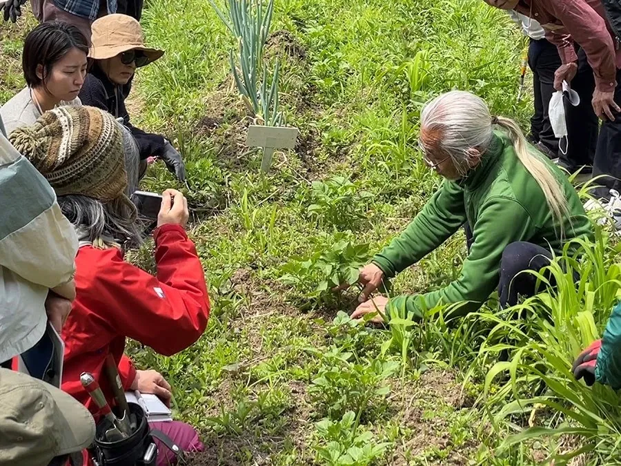 二宮農園 活動記録 2023の写真