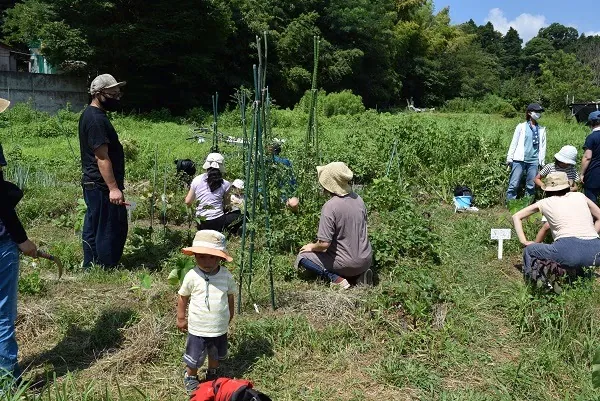 こども農園 活動記録 2021の写真