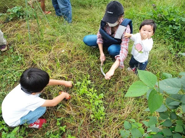 こども農園 活動記録 2020の写真