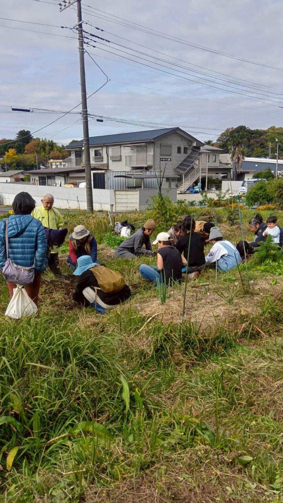 二宮農園 活動記録 2025の写真