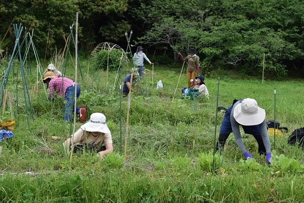 二宮農園 活動記録 2021の写真