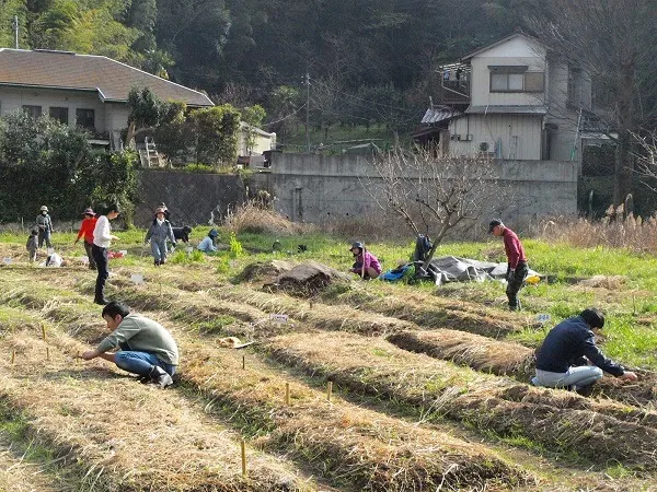 二宮農園 活動記録 2019の写真