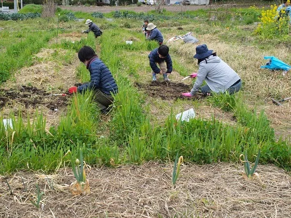 二宮農園 活動記録 2020の写真