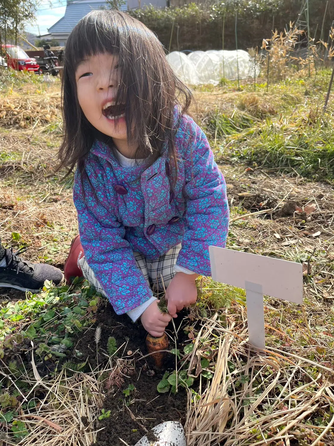 こども農園 活動記録 2023の写真