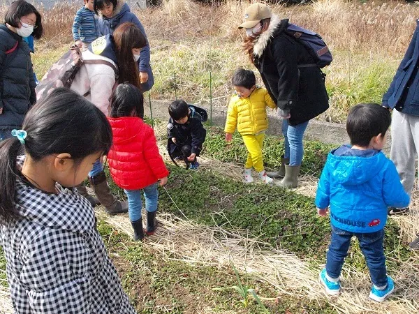 こども農園 活動記録 2019の写真