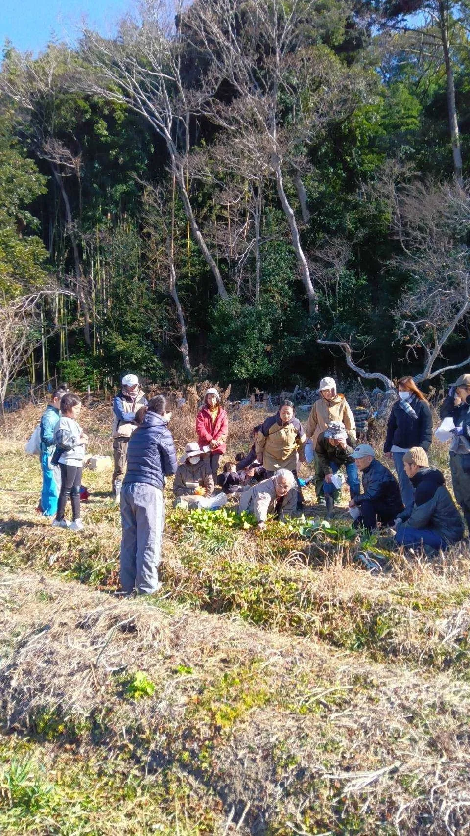 二宮農園 活動記録 2025の写真