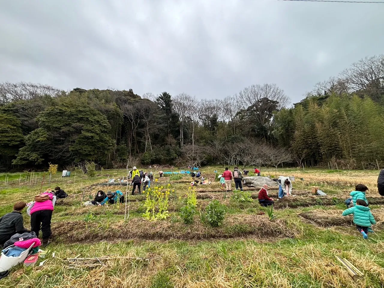 二宮農園 活動記録 2024の写真
