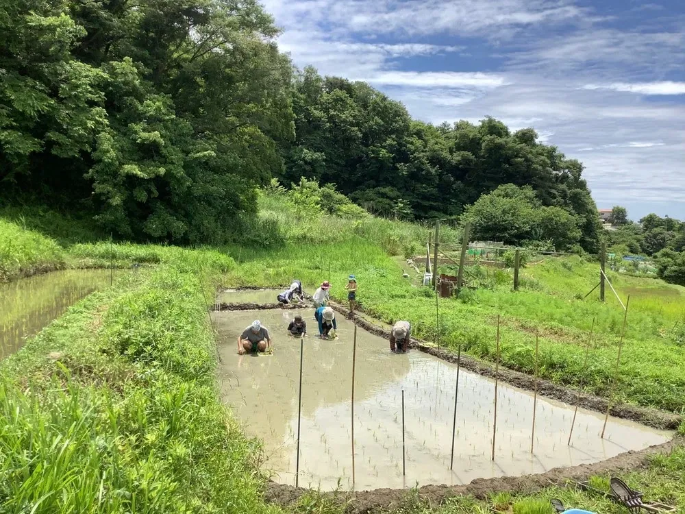 田沢の整備の写真