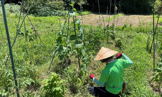 二宮農園 活動記録 2023の写真