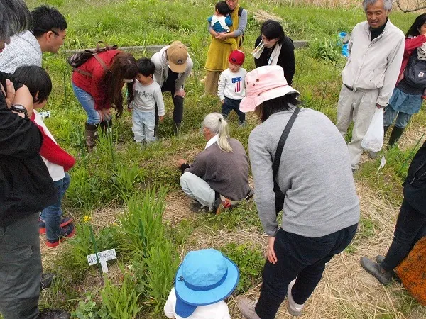 こども農園 活動記録 2019の写真