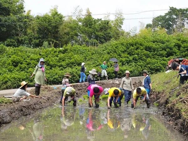 二宮農園 活動記録 2019の写真