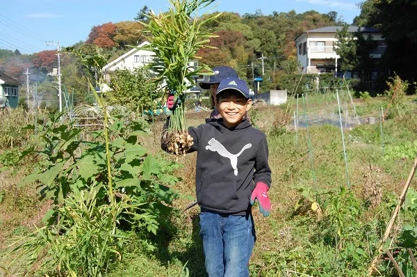 二宮農園 活動記録 2020の写真