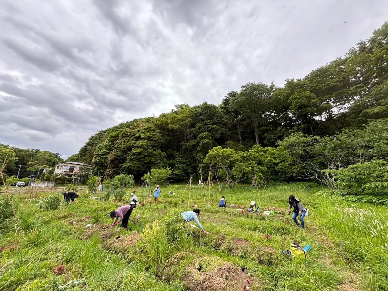二宮農園 活動記録 2024の写真