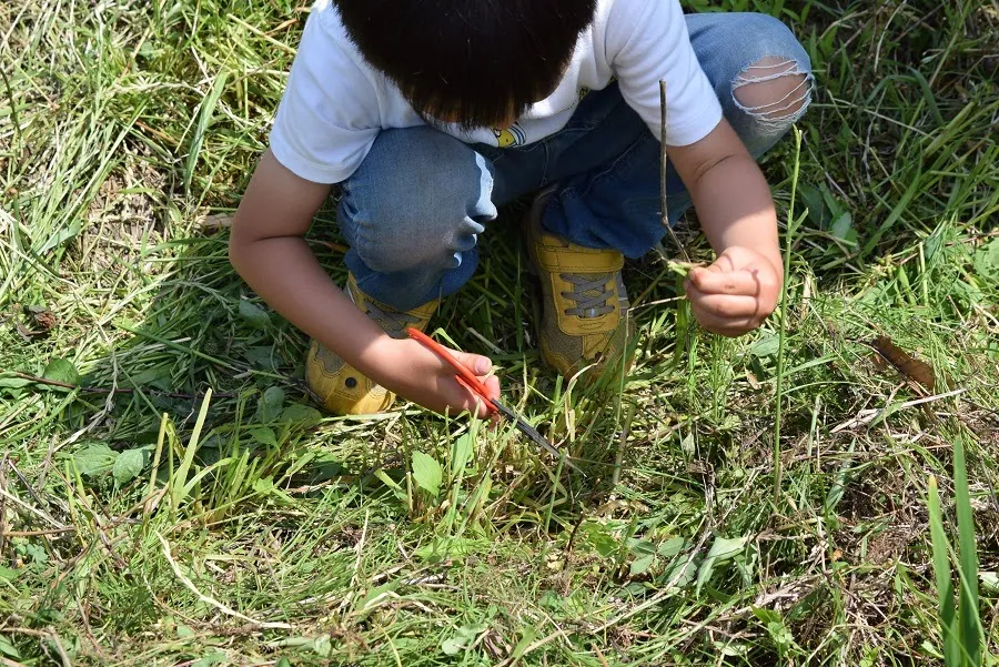 こども農園 活動記録 2021の写真