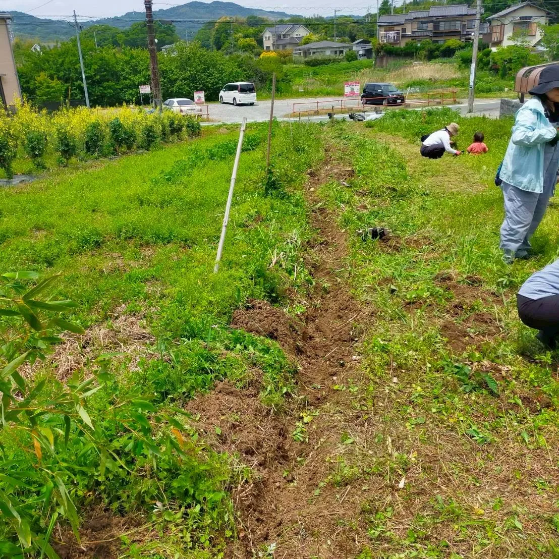 二宮農園 活動記録 2025の写真