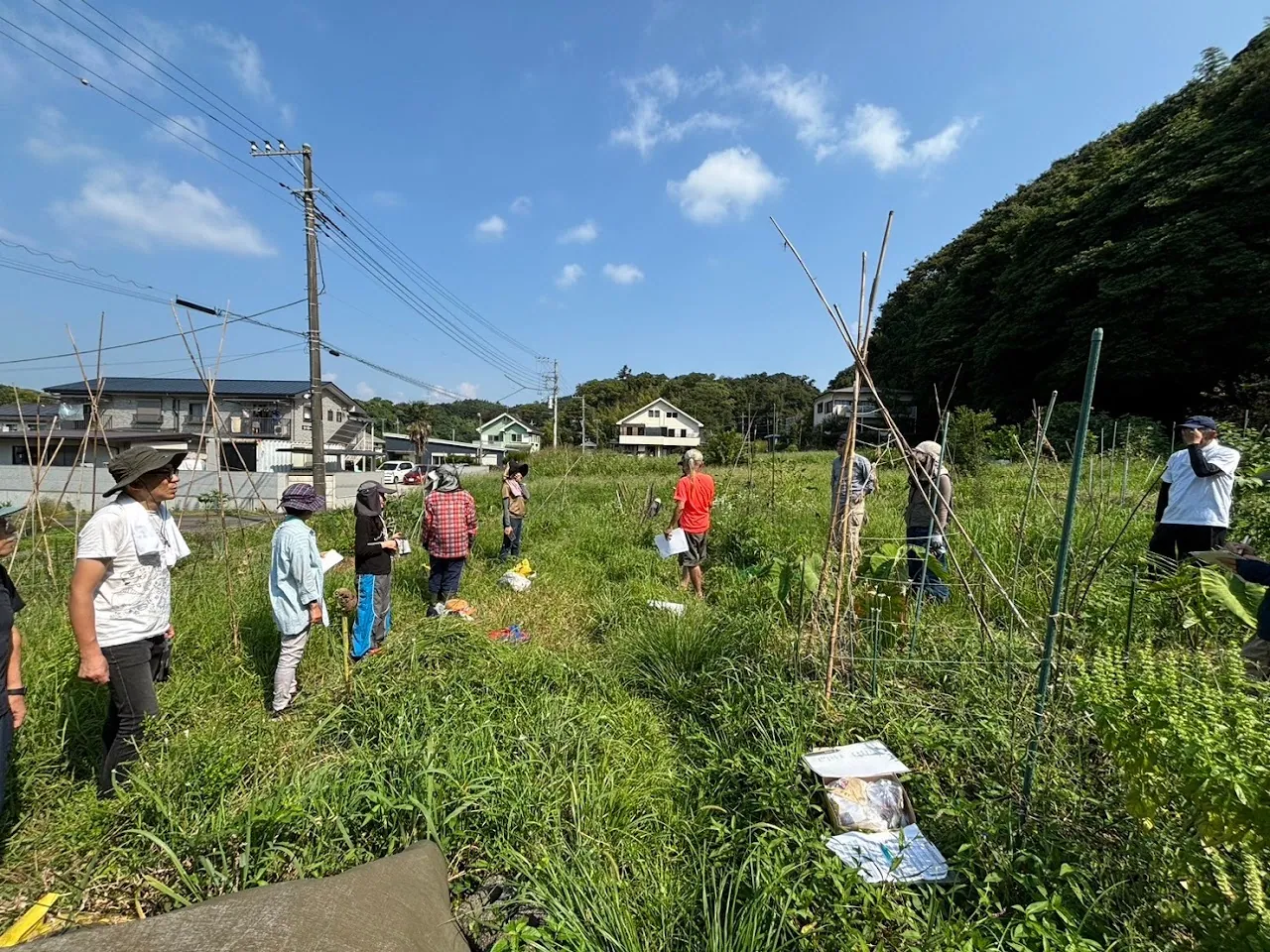 二宮農園 活動記録 2024の写真