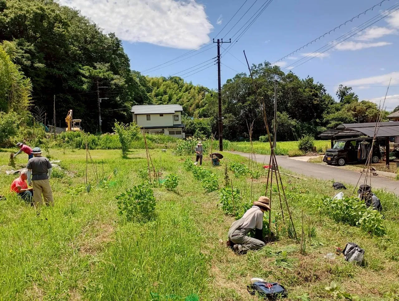 二宮農園 活動記録 2025の写真