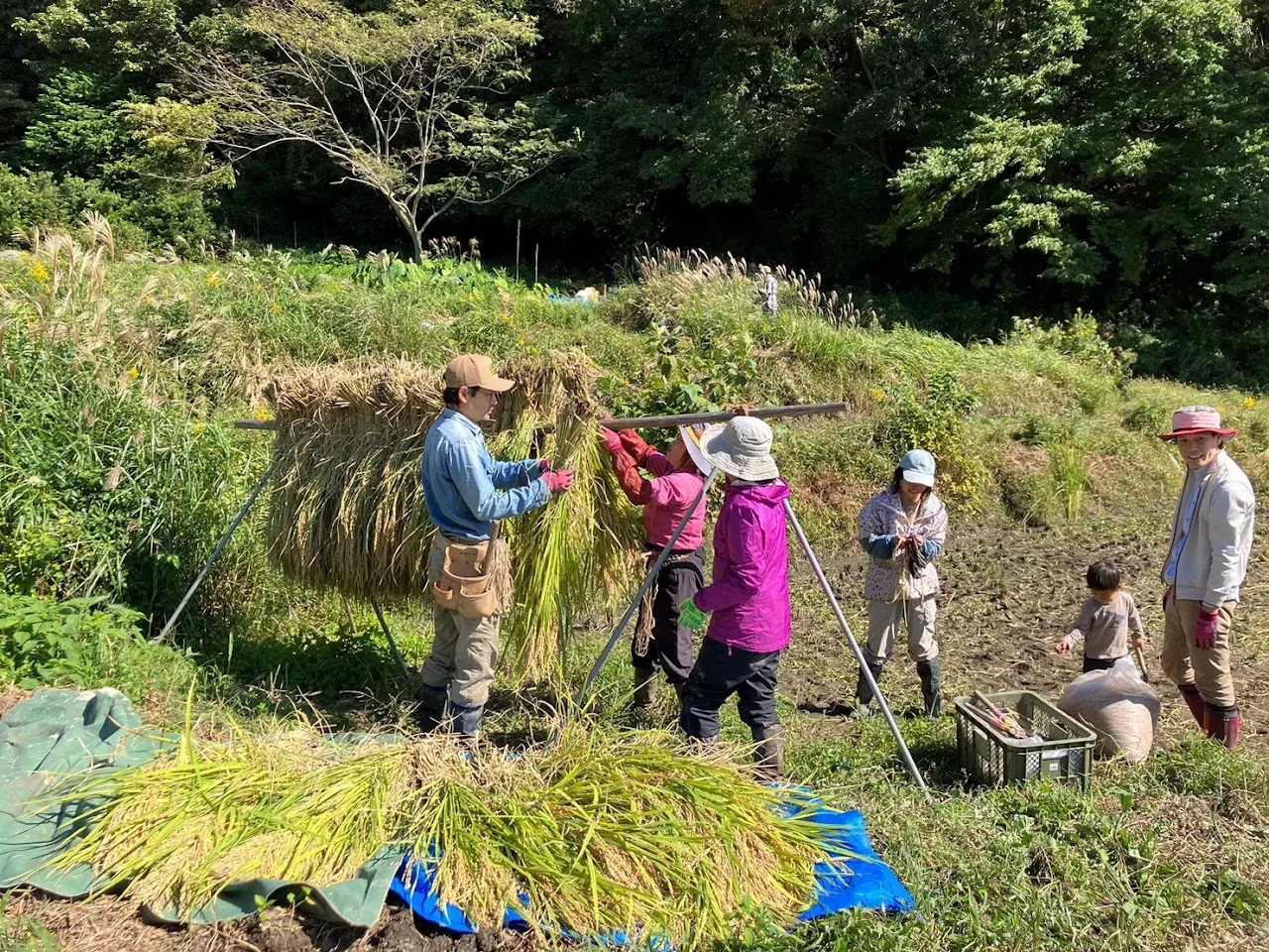 田沢の整備 活動記録 2023の写真