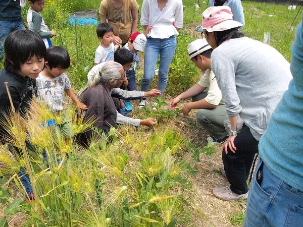 こども農園 活動記録 2019の写真