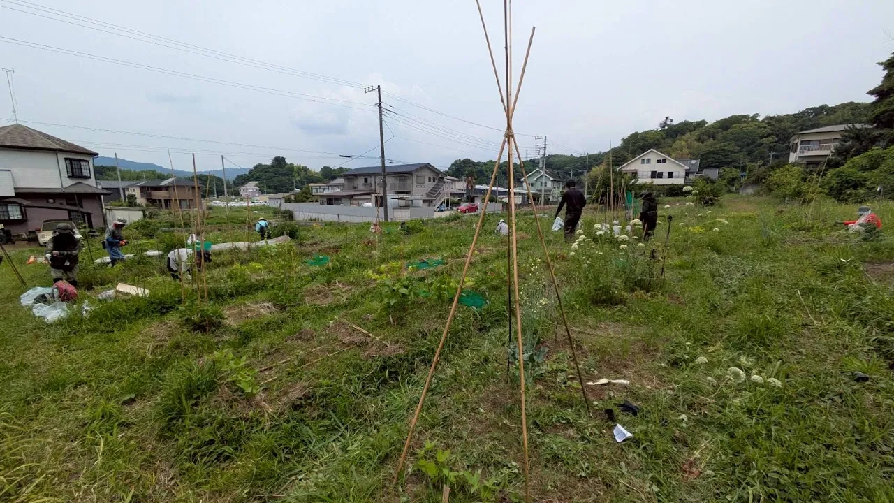 二宮農園 活動記録 2026の写真