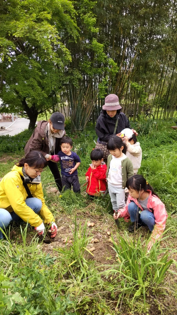 こども農園 活動記録 2023の写真