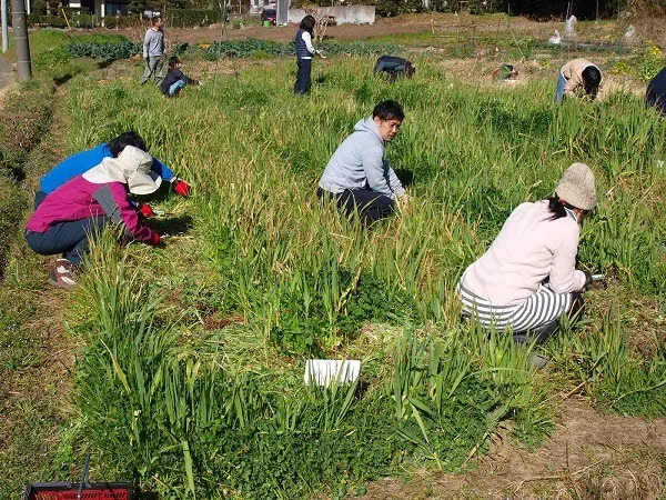 二宮農園 活動記録 2020の写真