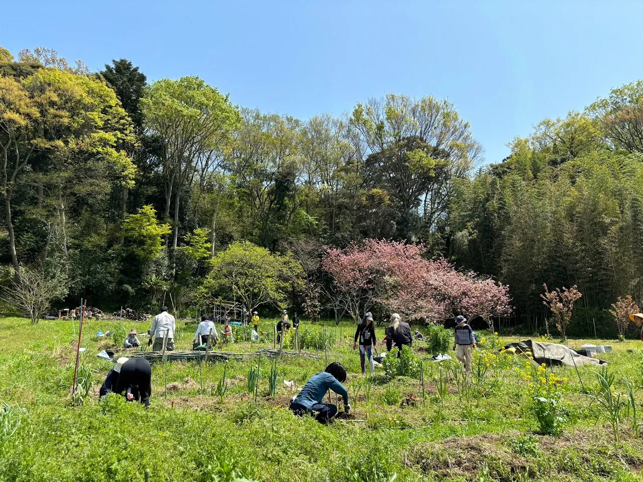 二宮農園 活動記録 2024の写真