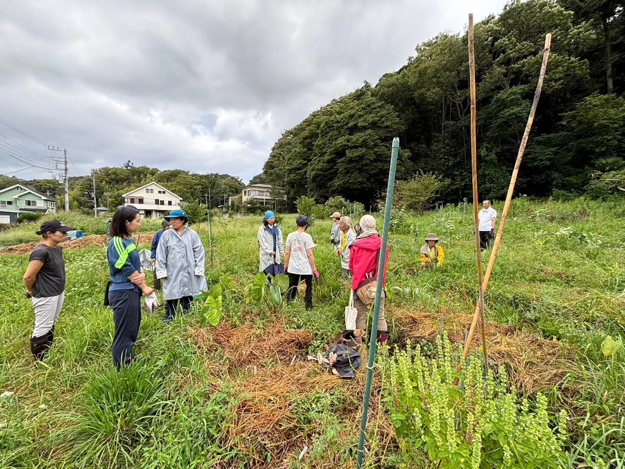 二宮農園 活動記録 2024の写真