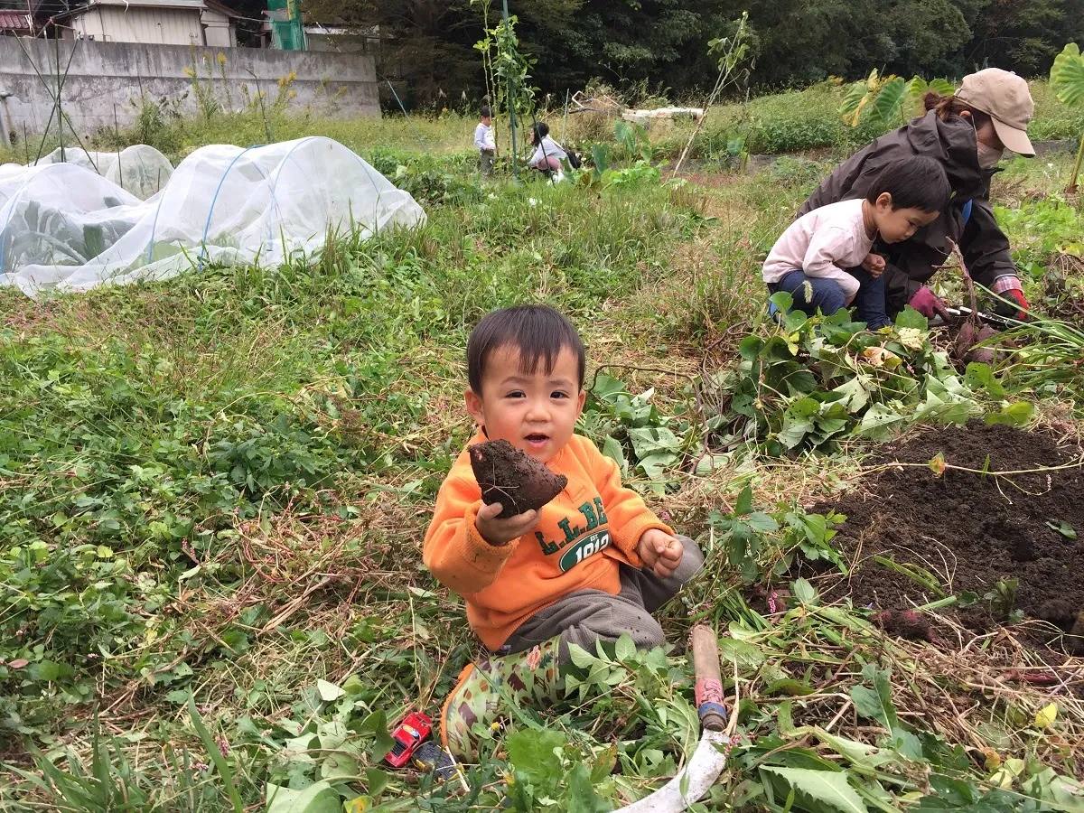 こども農園 活動記録 2021の写真