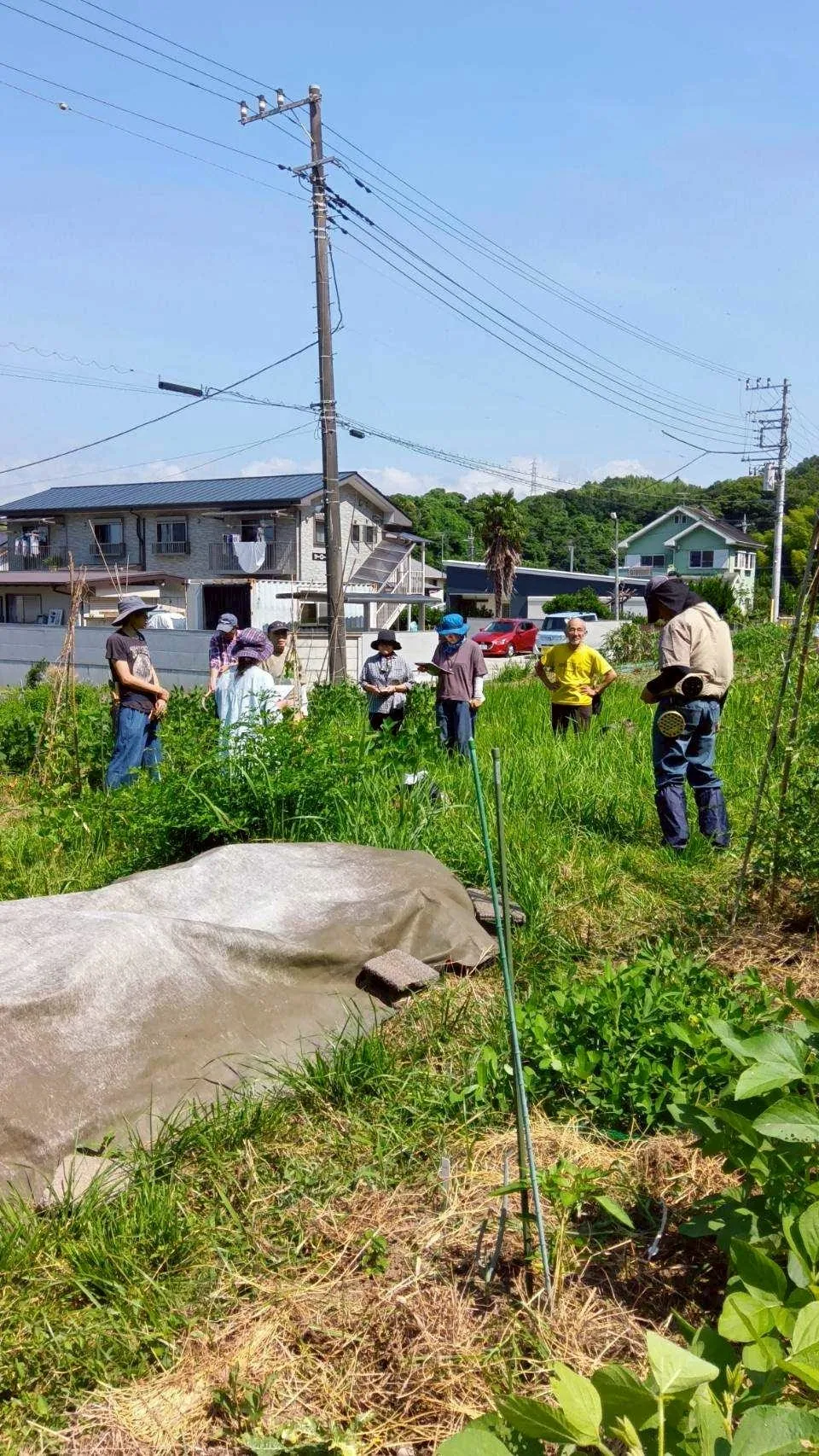 二宮農園 活動記録 2025の写真