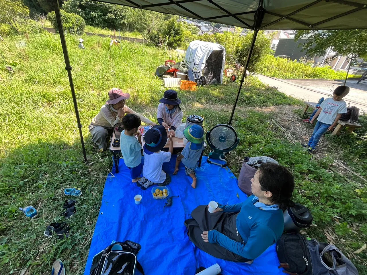 こども農園 活動記録 2023の写真