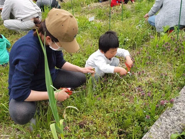 こども農園 活動記録 2019の写真