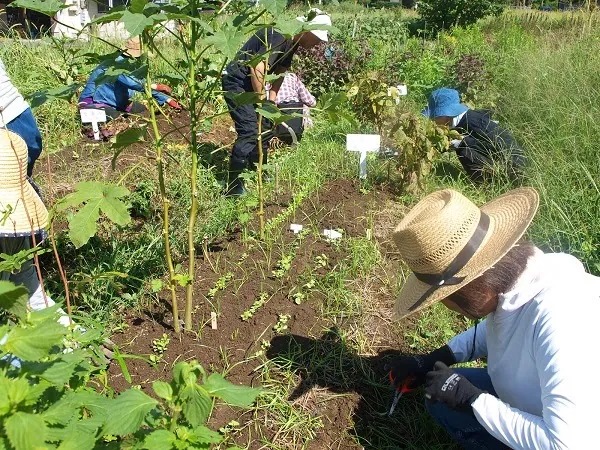 二宮農園 活動記録 2018の写真