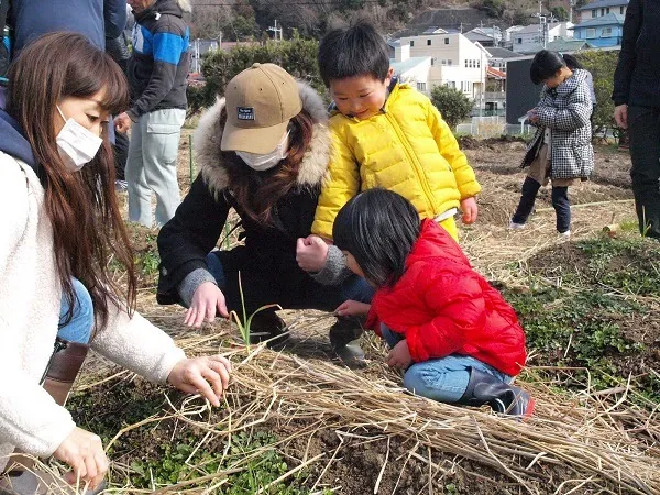 こども農園 活動記録 2019の写真