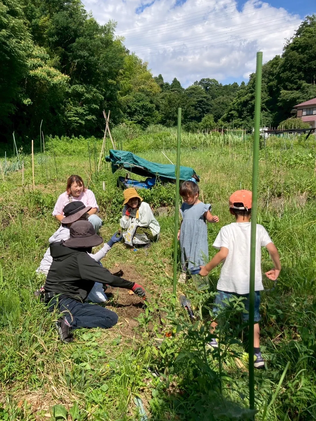 こども農園 活動記録 2025の写真